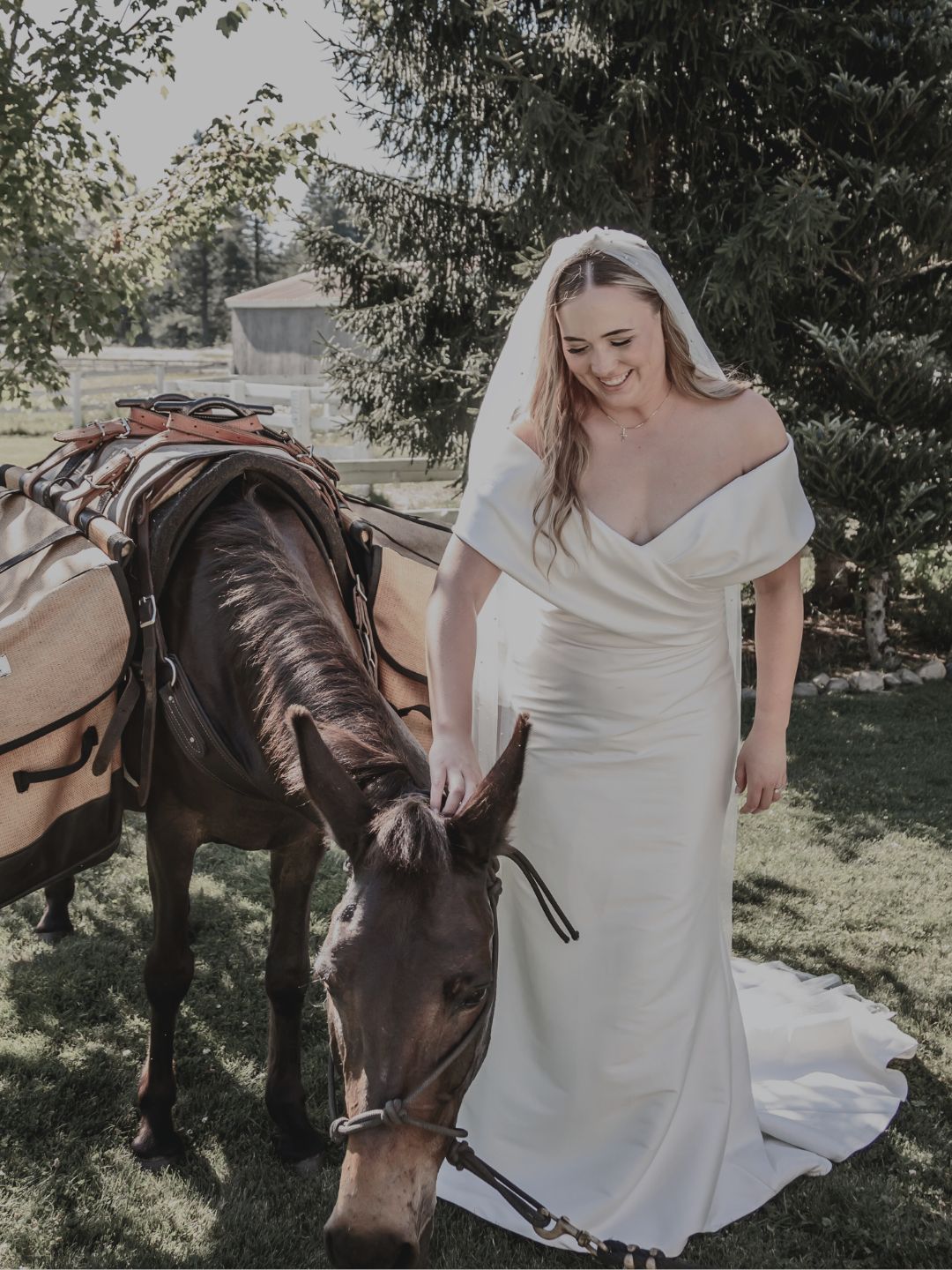bride smiling with beer burro donkey during cocktail hour