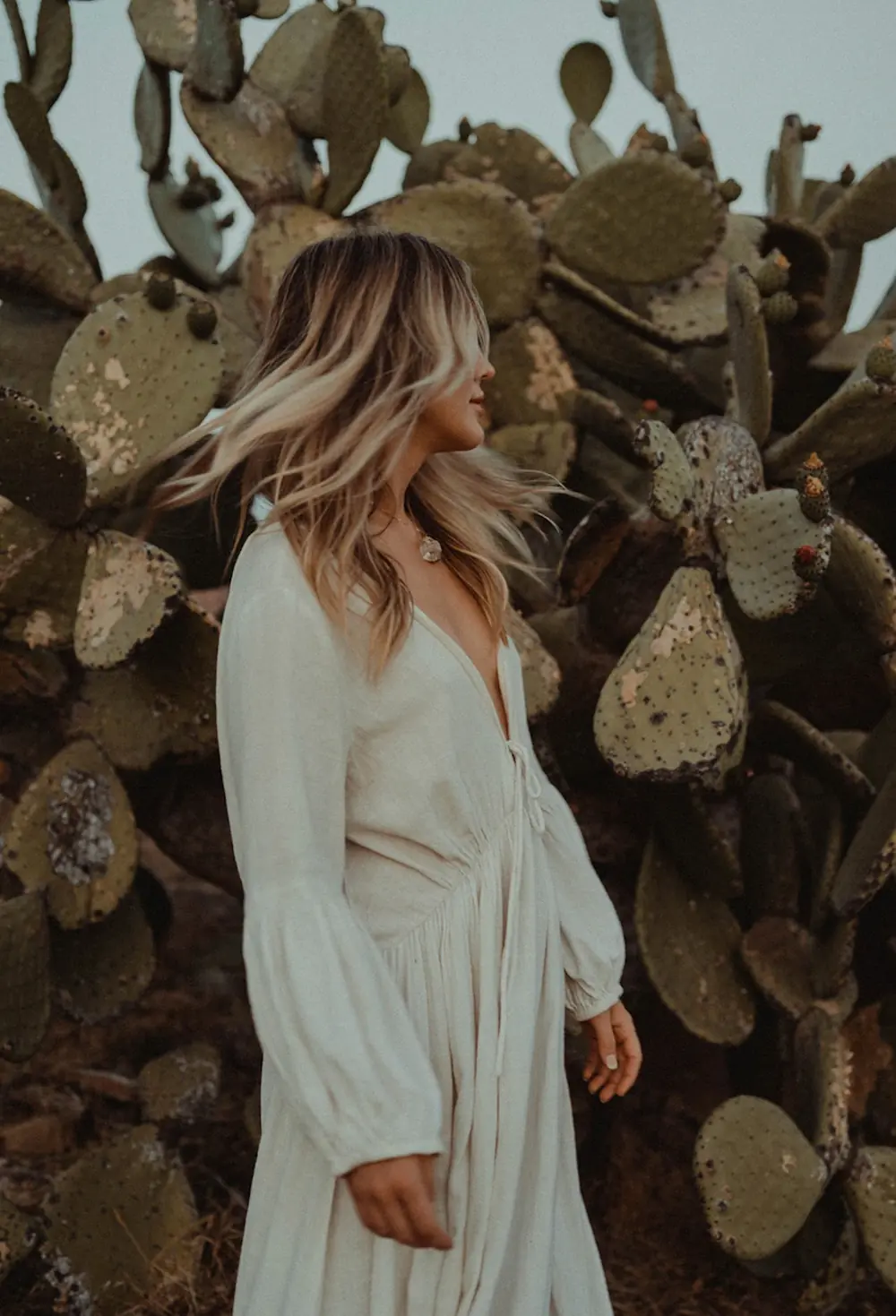 Desert Southwest wedding styling featuring warm earthy tones, cacti, and desert landscape