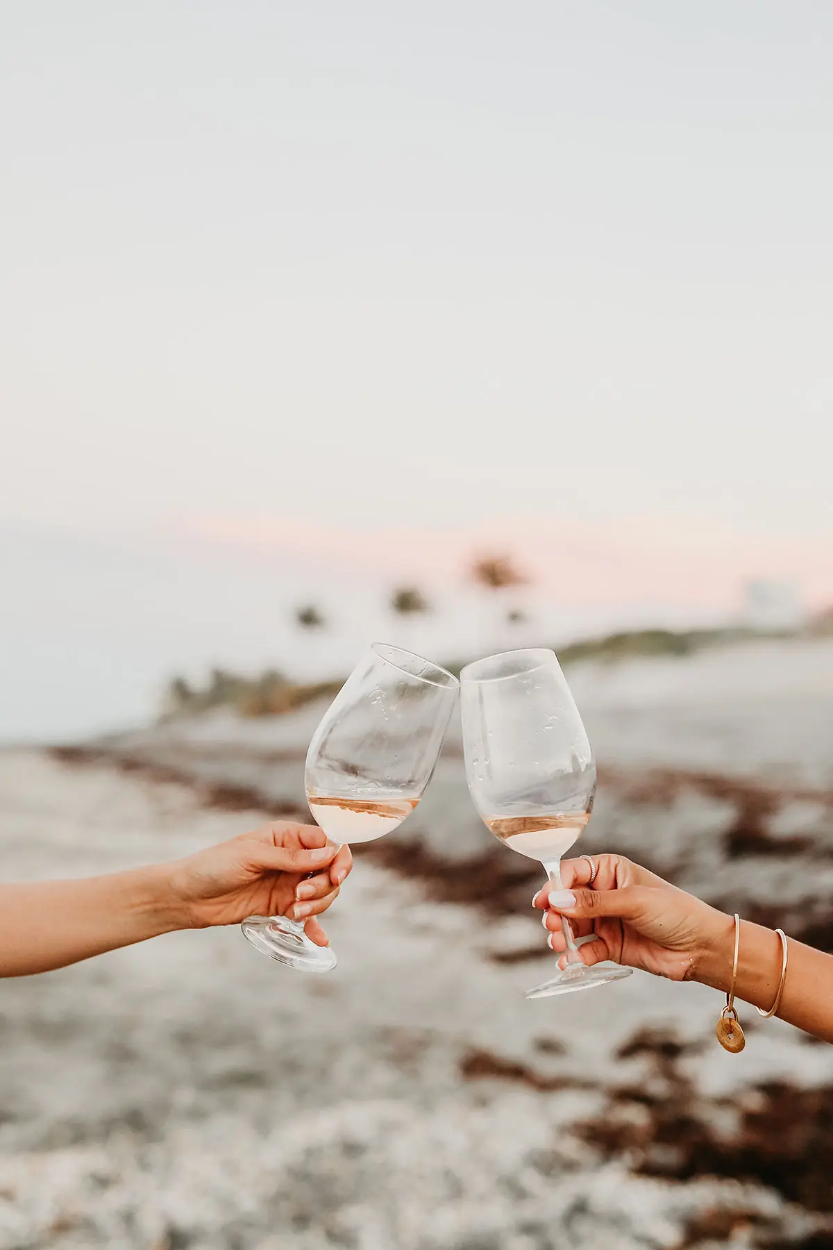 Two guests toasting with wine glasses outdoors during golden hour